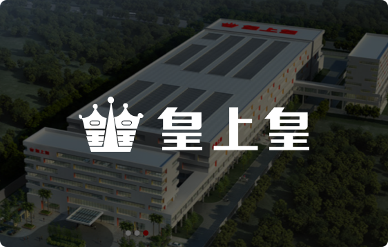 凯旋客户案例